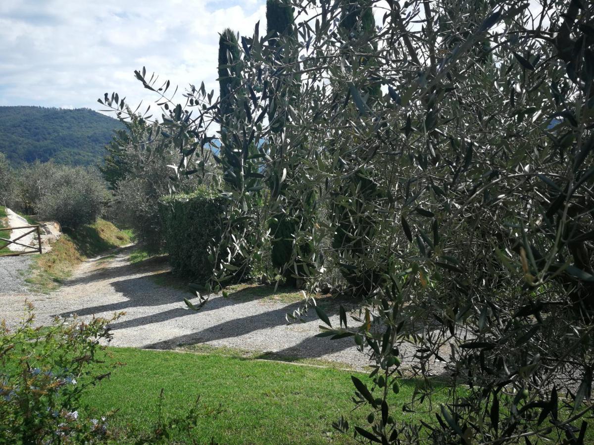 Casa Marconi Villa Vetriano Екстериор снимка