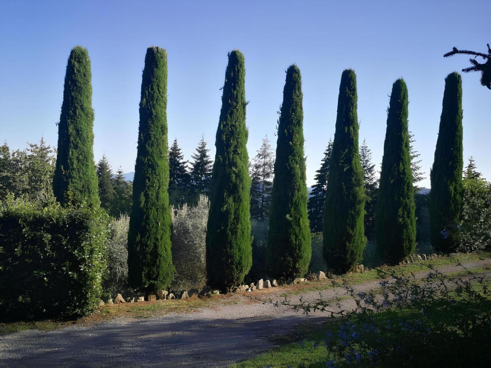 Casa Marconi Villa Vetriano Екстериор снимка