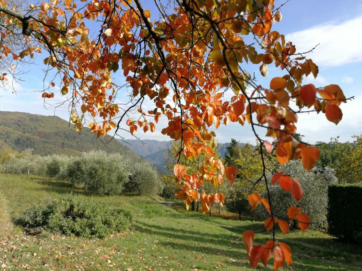 Casa Marconi Villa Vetriano Екстериор снимка